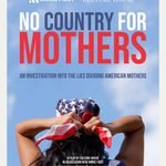 Troy Indivisible homepage moms